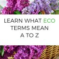 LEARN WHAT ECO TERMS MEAN A TO Z 1