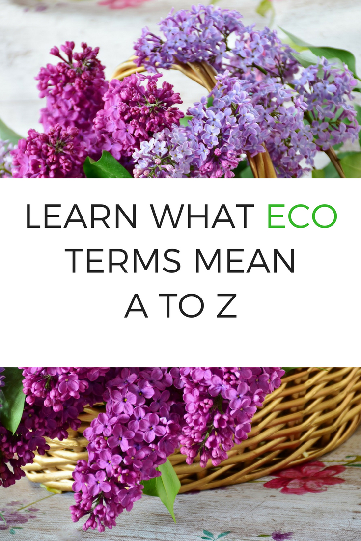 LEARN WHAT ECO TERMS MEAN A TO Z 1