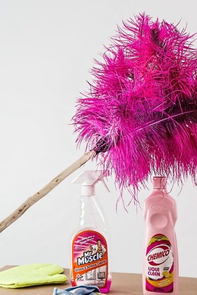 feather duster 709124 960 720