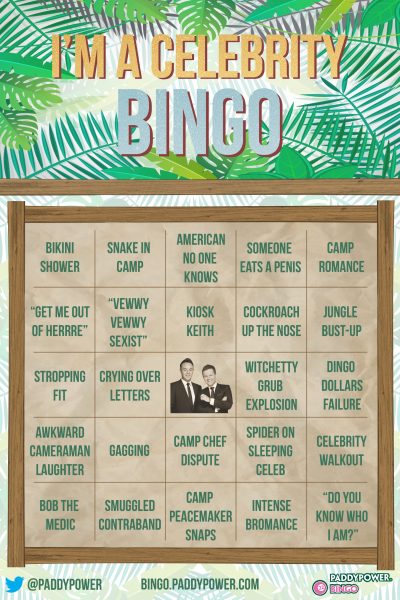 Im A Celeb Bingo Card