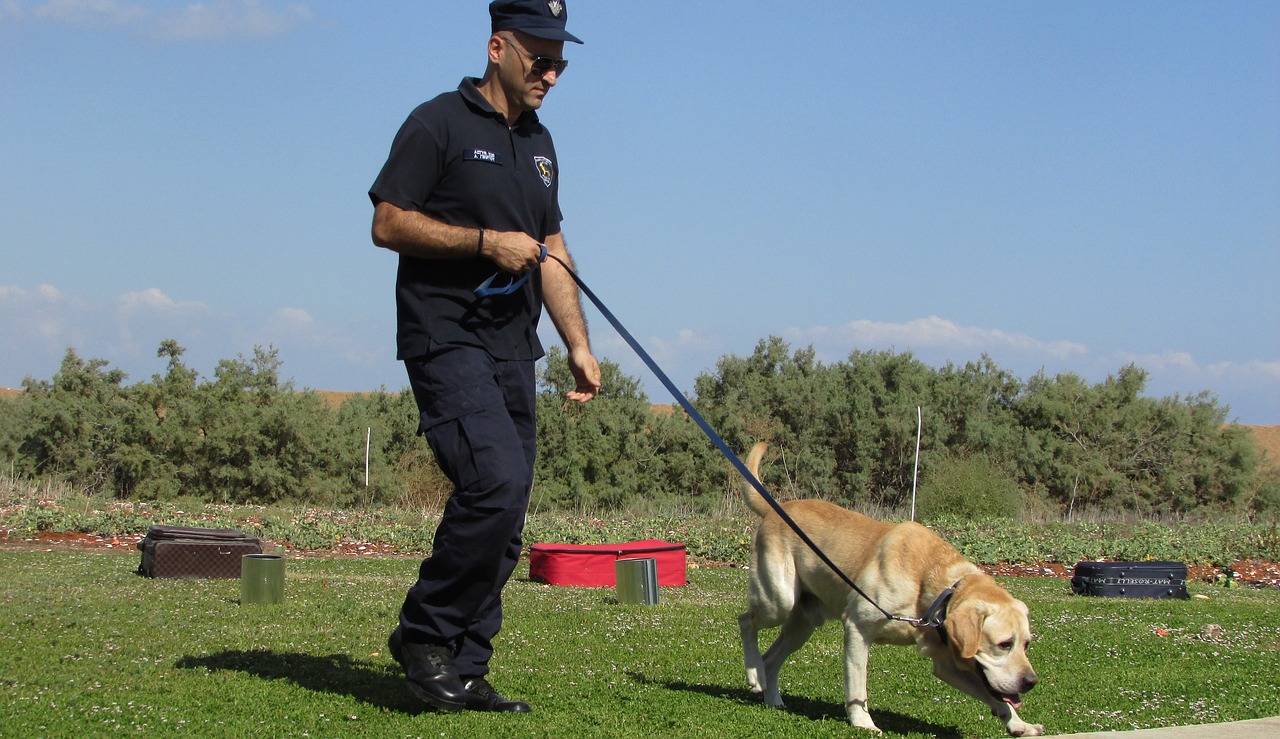 police-dog-1761874_1280