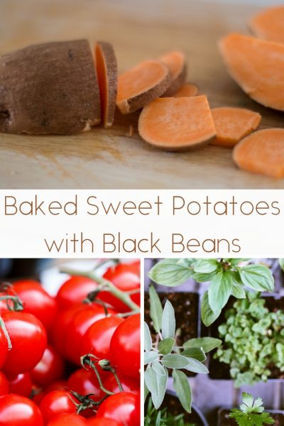 Baked Sweet Potatoes with Black Beans