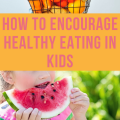 How to Encourage Healthy Eating in Kids