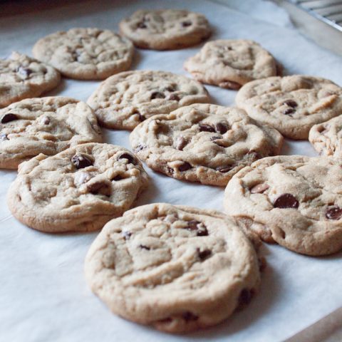 chocolate chip cookies 5