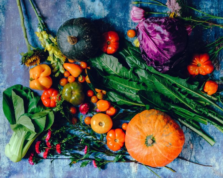 variety of vegetables 